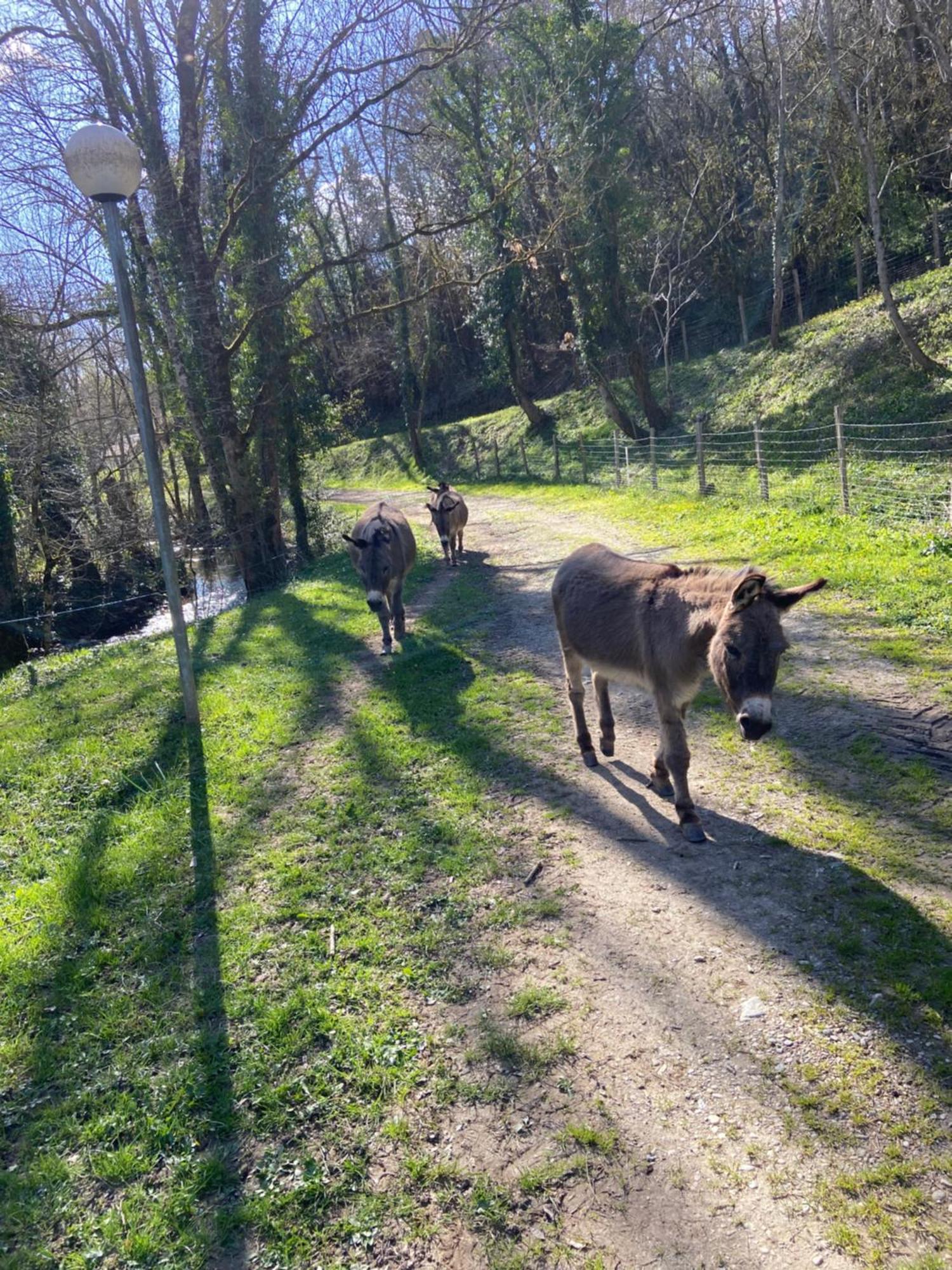 La Bastide D'Albignac Hotel Le Dourn Eksteriør billede
