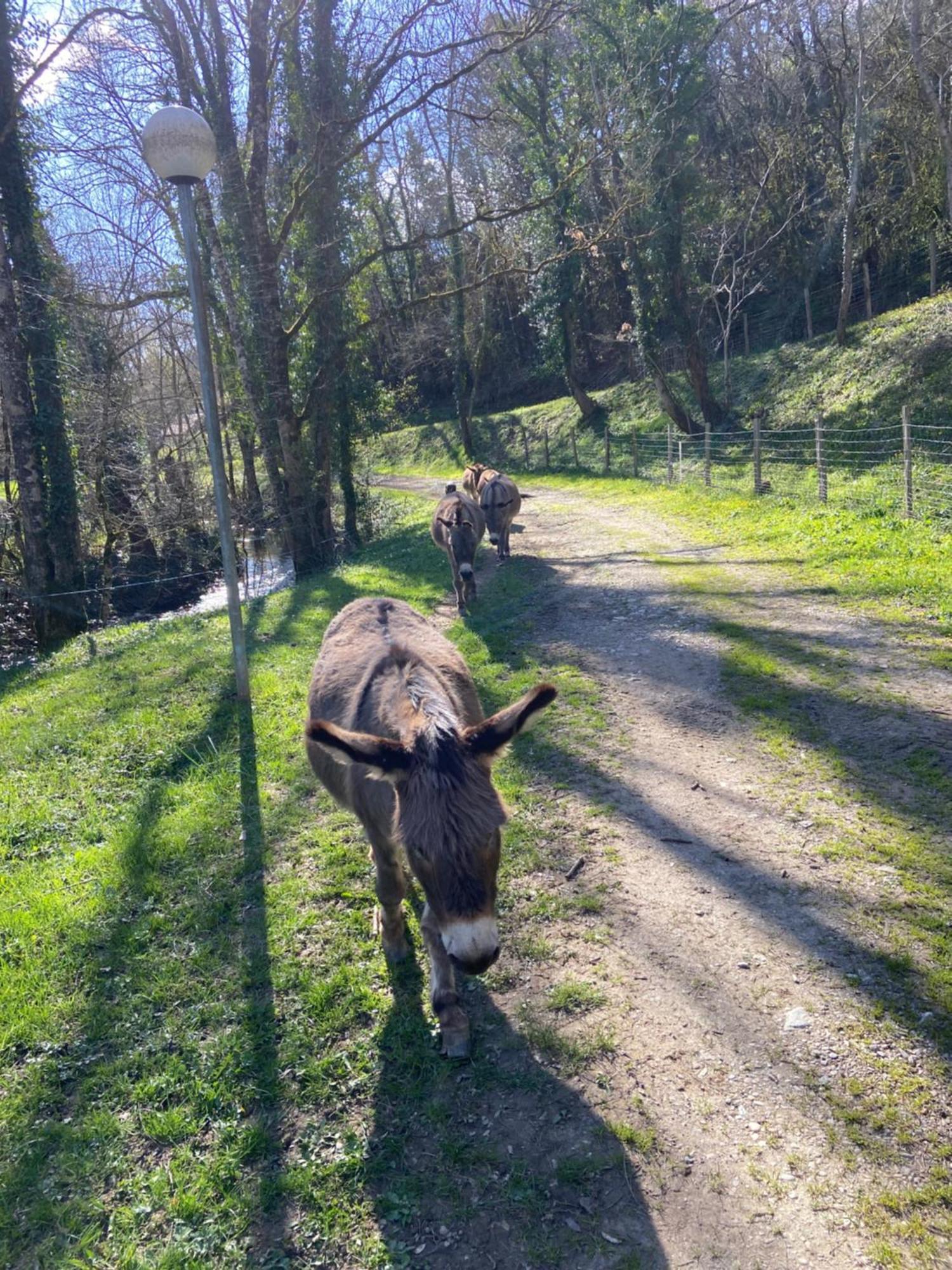 La Bastide D'Albignac Hotel Le Dourn Eksteriør billede